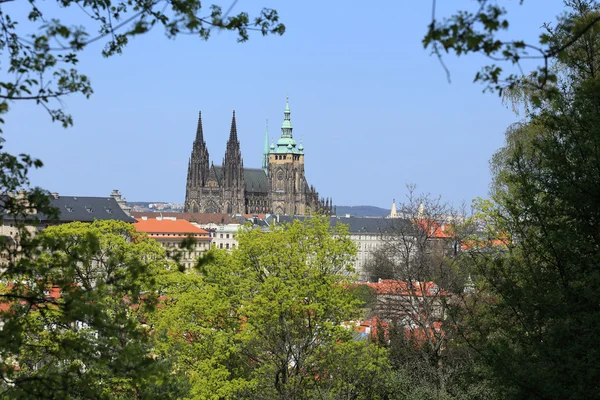 View on the spring Prague gothic Castle with the green Nature and flowering Trees, Czech Republic — Stock Photo, Image