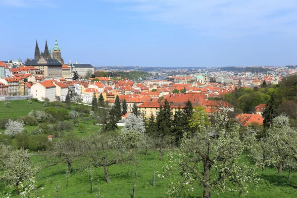 Pohled na jaře Praze gotický hrad s zelené přírody a kvetoucích stromů, Česká republika — Stock fotografie