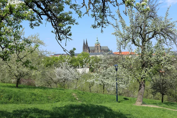 Jarní pohled na město Praha, Česká republika — Stock fotografie