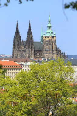 Gotik Castle, yeşil doğa ile Prag Bahar üzerinde görüntülemek ve çiçekli ağaçlar, Çek Cumhuriyeti