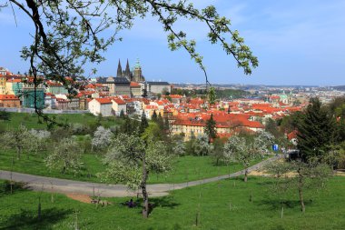 Gotik Castle, yeşil doğa ile Prag Bahar üzerinde görüntülemek ve çiçekli ağaçlar, Çek Cumhuriyeti