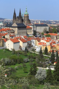 Gotik Castle, yeşil doğa ile Prag Bahar üzerinde görüntülemek ve çiçekli ağaçlar, Çek Cumhuriyeti