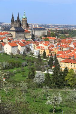 Gotik Castle, yeşil doğa ile Prag Bahar üzerinde görüntülemek ve çiçekli ağaçlar, Çek Cumhuriyeti