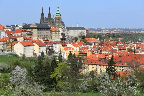 Vue sur le printemps Prague avec château gothique, nature verte et arbres à fleurs, République tchèque — Photo