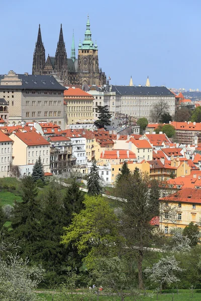 Vista sobre a primavera Praga com castelo gótico, natureza verde e árvores floridas, República Checa — Fotografia de Stock