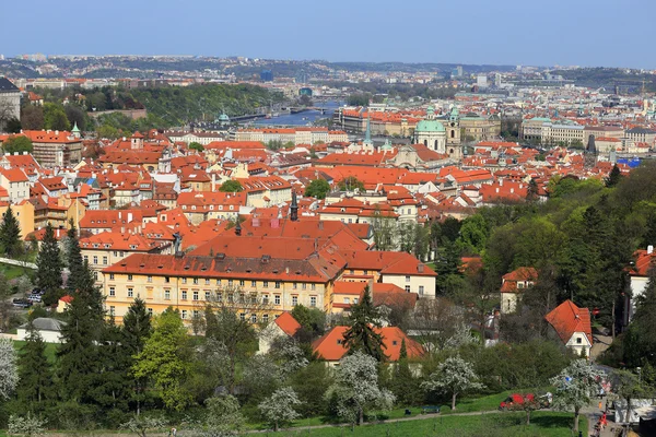 Vista sulla primavera Praga con la Cattedrale di San Nicola, verde Natura e alberi in fiore, Repubblica Ceca — Foto Stock