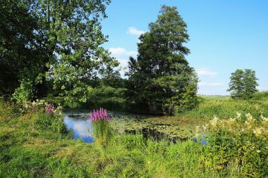 Güzel manzara yaz dağlar Sumava southern Bohemia, Çek Cumhuriyeti