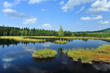 Güzel manzara yaz dağlar Sumava southern Bohemia, Çek Cumhuriyeti