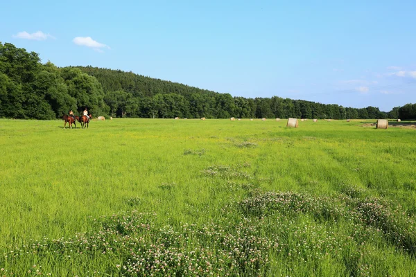 Beautiful Landscape from the summer Mountains Sumava in southern Bohemia, Czech republic — Stock Photo, Image