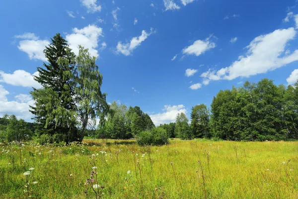 Piękny krajobraz z letnich gór Szumawa w południowych Czechach, Republika Czeska — Zdjęcie stockowe
