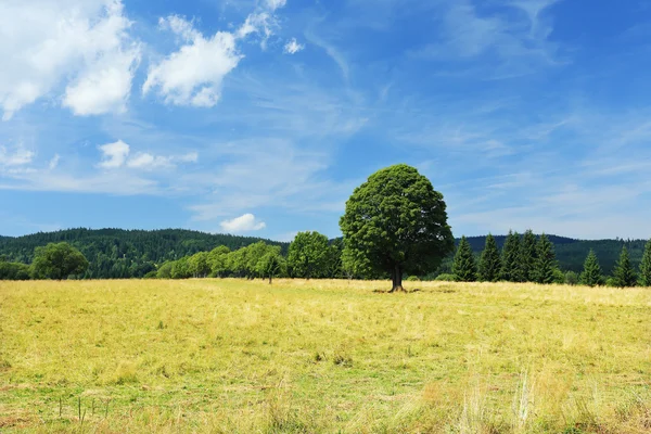Prachtige landschap vanaf de zomer Sumava Bergen in Zuid-Bohemen, Tsjechië — Stockfoto