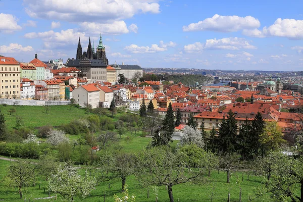 ばねのビューと緑の自然、花盛りの木、チェコ共和国プラハ ゴシック様式城 — ストック写真