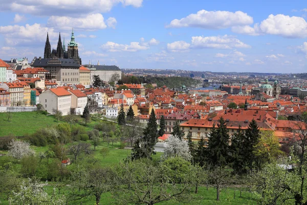 View on the spring Prague gothic Castle with the green Nature and flowering Trees, Czech Republic — Stock Photo, Image