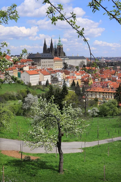 Veduta sulla primavera Castello gotico di Praga con la natura verde e alberi fioriti, Repubblica Ceca — Foto Stock