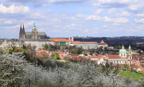 Veduta sulla primavera Castello gotico di Praga con la natura verde e alberi fioriti, Repubblica Ceca — Foto Stock