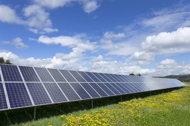 Bahar çiçekli çayırdaki güneş enerjisi santrali