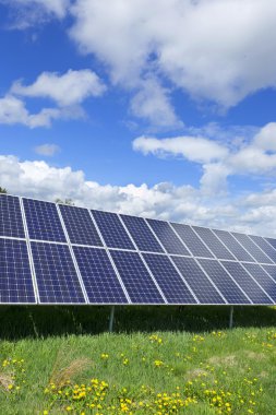 Bahar çiçekli çayırdaki güneş enerjisi santrali