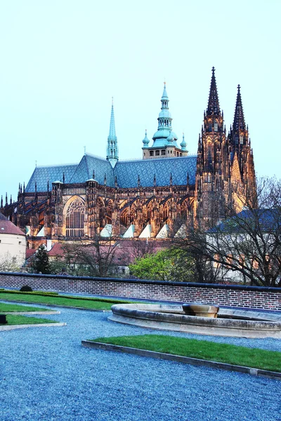 Colorida catedral gótica de San Vito en el Castillo de Praga en la noche, República Checa —  Fotos de Stock