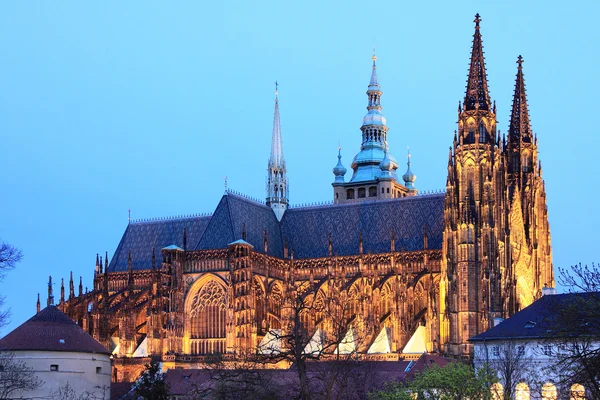 Colorida catedral gótica de San Vito en el Castillo de Praga en la noche, República Checa —  Fotos de Stock