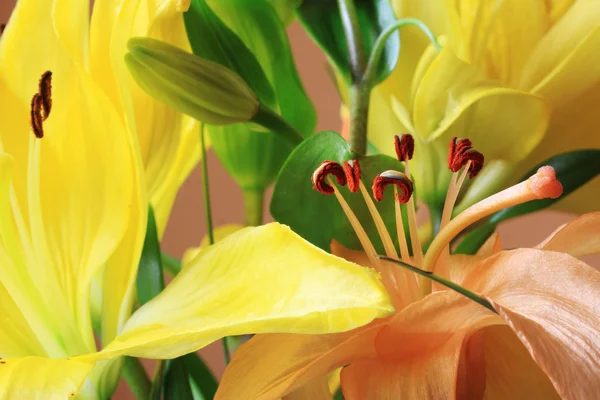 Detalle del precioso lirio amarillo — Foto de Stock