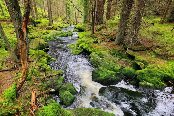 Creek nella bellissima natura selvaggia dalle montagne Sumava, sud della Repubblica Ceca — Foto Stock