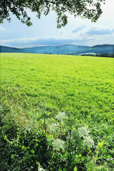 Paisaje verde de las montañas de verano Sumava en el sur de la República Checa —  Fotos de Stock