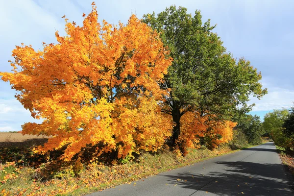 Colorful autumn Landscape in Central Bohemia, Czech Republic — Stock Photo, Image