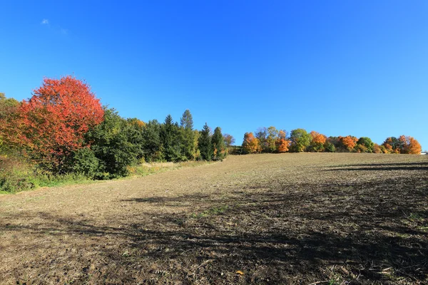 Colorful autumn Landscape in Central Bohemia, Czech Republic — Stock Photo, Image