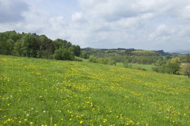 Bahar açık yeşil peyzaj bohem cennetten