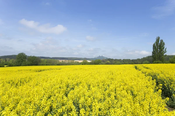 Paysage printanier dans le paradis bohème avec château Trosky — Photo