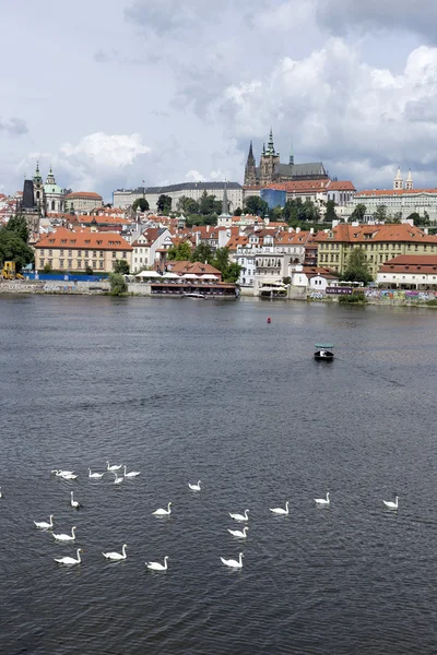 Bahar Prag Gotik Castle yukarıda Nehri Vltava, Çek Cumhuriyeti — Stok fotoğraf