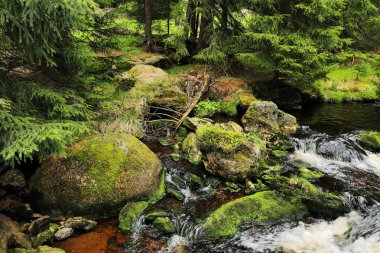 Güzel manzara yaz dağlar Sumava Güney Bohemya'da