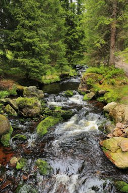 Dağlar Sumava, Güney çek güzel vahşi dereye
