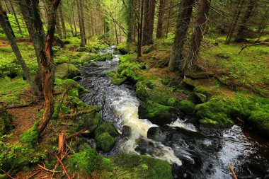 Dağlar Sumava, Güney çek güzel vahşi dereye