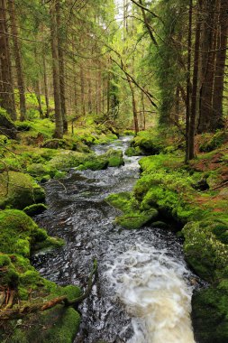 Dağlar Sumava, Güney çek güzel vahşi dereye
