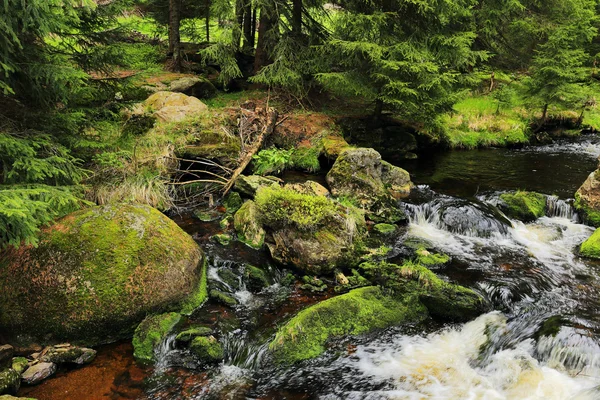 Ruisseau dans la belle nature sauvage, les montagnes Sumava dans le sud de la République tchèque — Photo