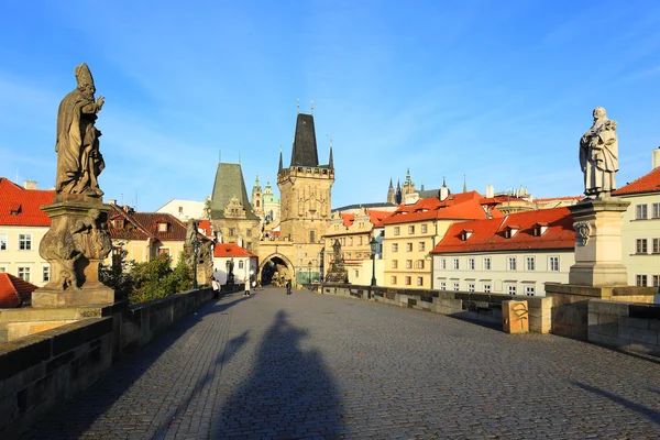 Praha St. Nicholas' katedrála s hradem z Karlova mostu — Stock fotografie