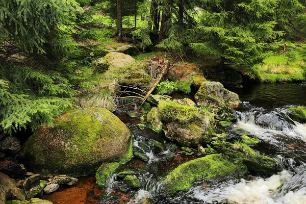 Güzel manzara yaz dağlar Sumava Güney Bohemya'da