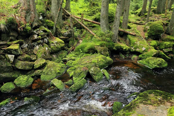 Beau paysage des montagnes d'été Sumava dans le sud de la Bohême — Photo