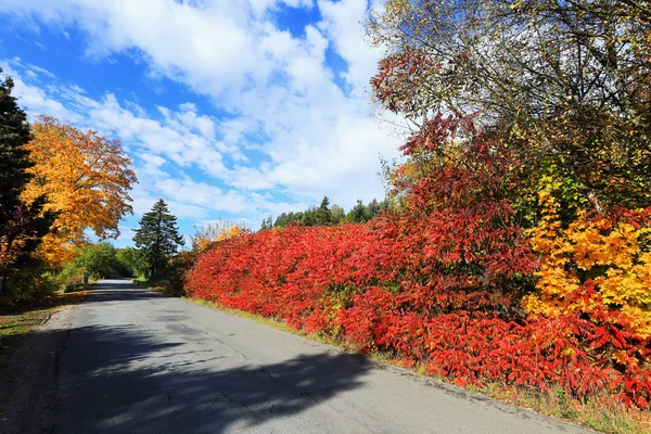 Colorful autumn Landscape in Bohemia, Czech Republic — Stock Photo, Image