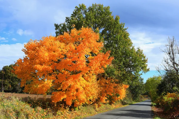 Colorful autumn Landscape in Bohemia, Czech Republic — Stock Photo, Image