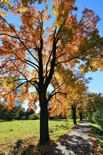 Colorful autumn Landscape in Bohemia, Czech Republic — Stock Photo, Image