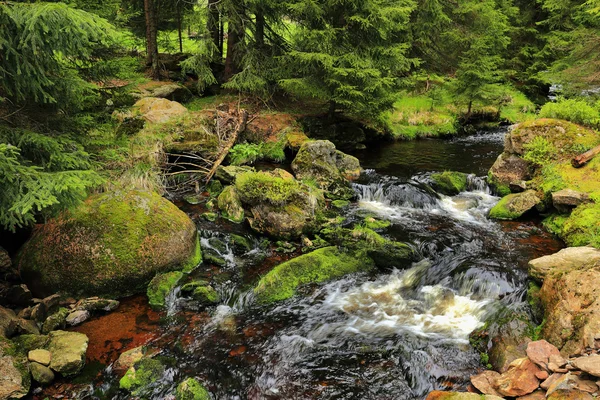 Ruisseau dans la belle nature sauvage des montagnes Sumava, sud de la République tchèque — Photo