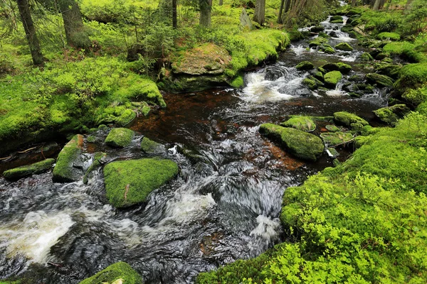 Creek en la hermosa naturaleza de las montañas Sumava, sur de la República Checa —  Fotos de Stock