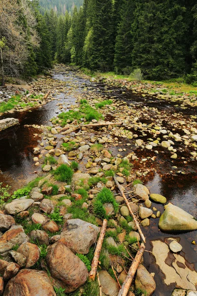 Крик в красиві пустелю від гори Sumava, Південній Чехії — стокове фото