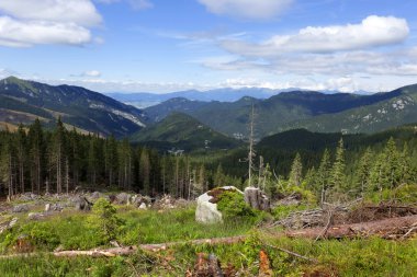 Renkli yaz Slovakya dağlar düşük Tatras görünümünden