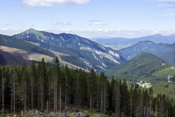 Barevný pohled z letních Slovensko pohoří Nízké Tatry — Stock fotografie