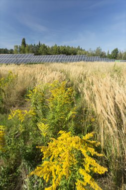 Solar Power Station yaz çayır