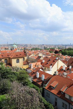 Bahar Prague City ile yeşil doğa, Çek Cumhuriyeti görüntüleyin