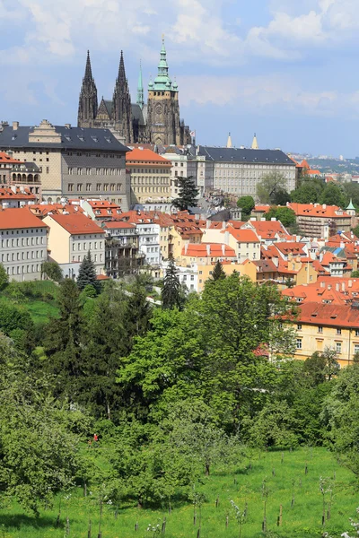 查看在春天布拉格哥特式城堡与绿色时的性质，捷克共和国 — 图库照片